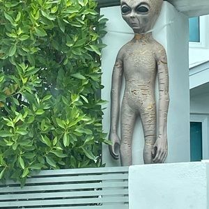 Meet your Posher, Ricky